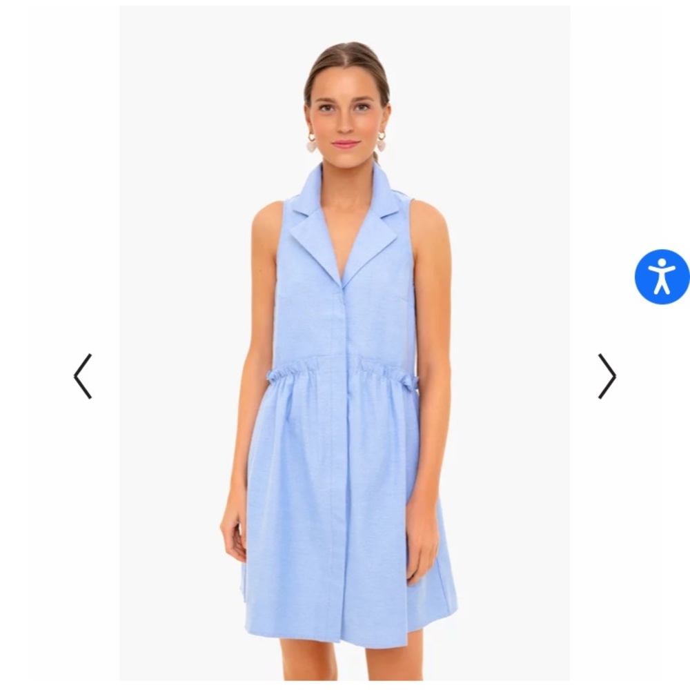 Tuckernuck Blue Oxford Sleeveless Shirtdress
